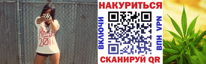 APVP Рошаль