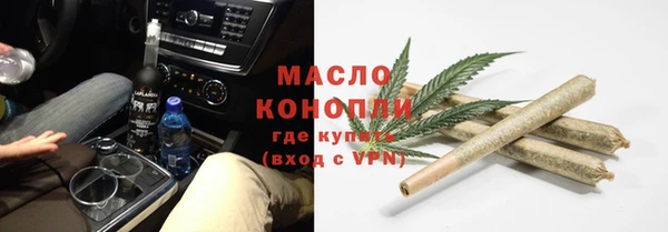 хмурый Гусь-Хрустальный