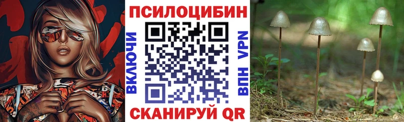 Галлюциногенные грибы Magic Shrooms  Купить закладки  Рошаль 