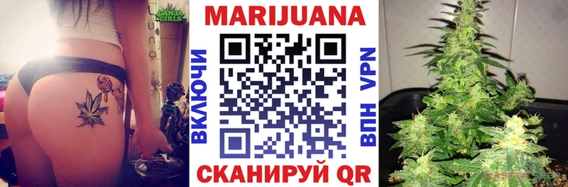 Купить где  Рошаль  МАРИХУАНА ГИДРОПОН 